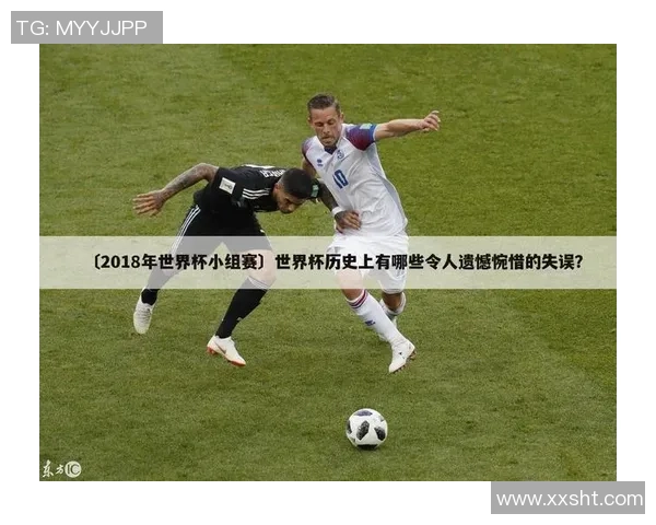 武汉羽毛球队在世界杯中的战术分析与表现评估