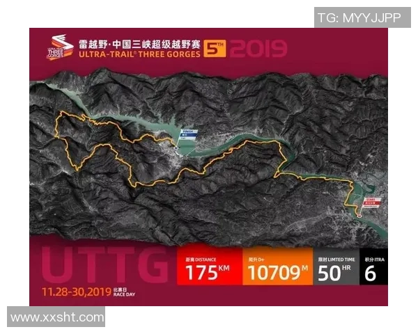 南京排球队挑战赛背后的拼搏故事与奋斗历程全景回顾